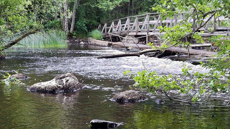 Natuurreservaat Illharjen, Zweden.