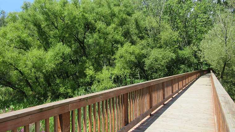 Het vlonderpad door het moeras van het Saint-Pierremeer.