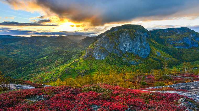 Het Parc des Grands Jardins in de regio Charlevoix.