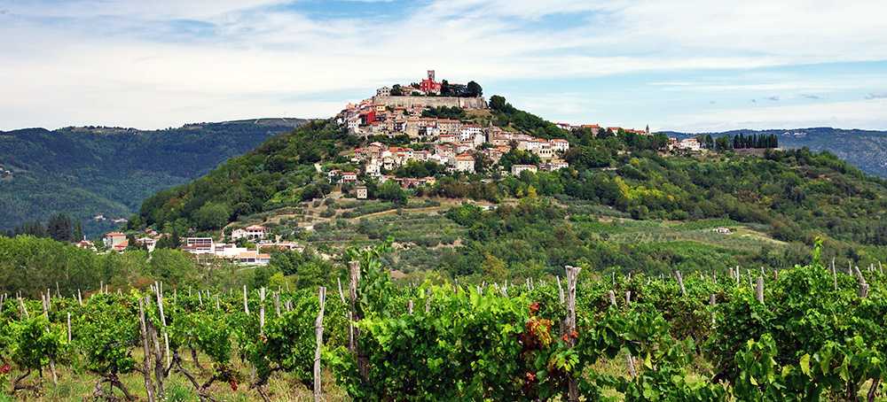 La pequeña ciudad medieval de Motovun está en el corazón de la región de las trufas de Istria, en Croacia.