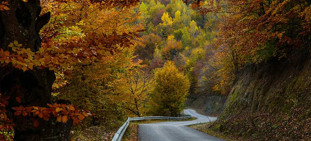 Alquila un coche para un viaje de otoño por Europa.
