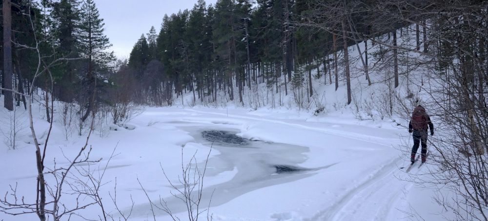 Het Nationaal Park Lemmenjoki in Finland in de winter