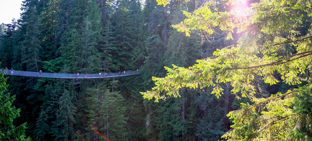 Net buiten Vancouver sta je al meteen midden in de wildernis, zoals hier op de hangbrug in Capilano Park.