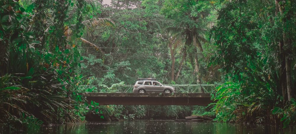 Een auto rijdt door de jungle van Costa Rica.