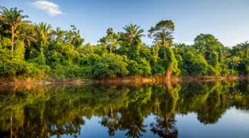 Auto huren in Suriname: routes, natuurparken en praktische tips