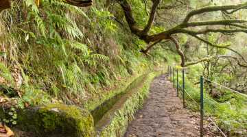 Wandelen op Madeira: 8 mooiste levada-routes