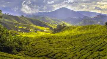 One-way roadtrip tussen Kuala Lumpur en Penang