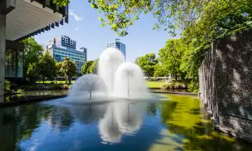 Biluthyrning Christchurch