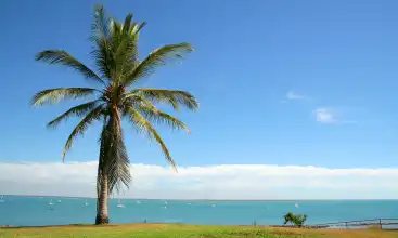 Alquiler de coches Darwin