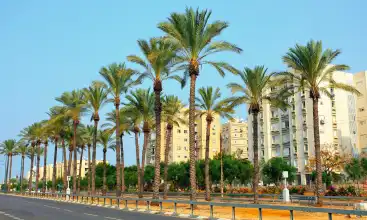 Location de voitures Netanya