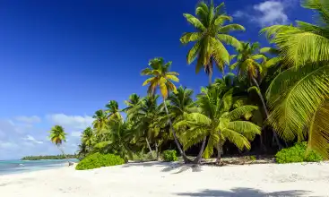 Car Hire Punta Cana