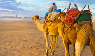 Car hire Agadir