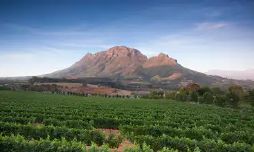 Auto huren Stellenbosch