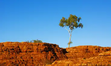 Alquiler de coches Alice Springs