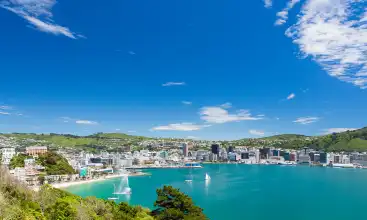 Biluthyrning Wellington